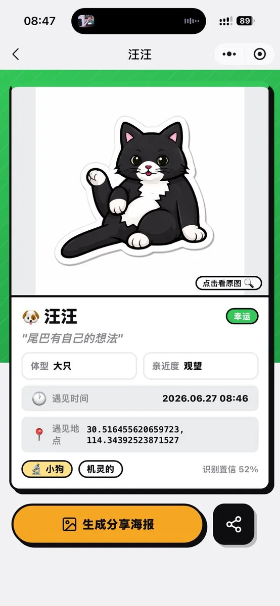 A polished Chinese mini-program pet recognition result page from a live cat camera reference