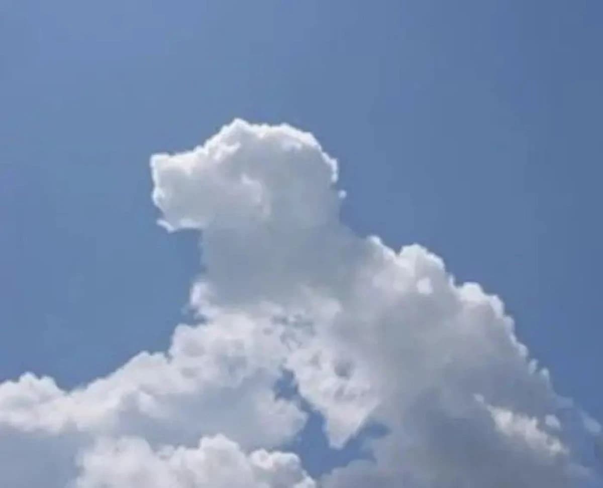 A cloud formation resembling a dog's head floats against a clear blue sky, highlighting its whimsical shape