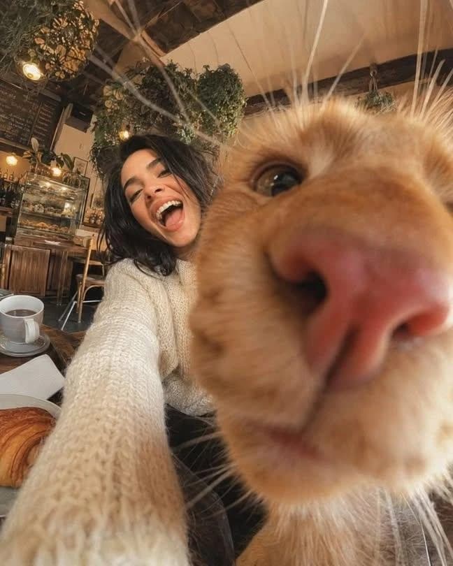 Extreme Wide-Angle Cat Photobomb Selfie social media visual