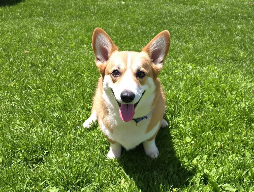 Original photo used as input (example 3)